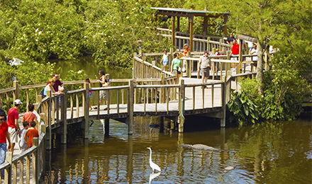 Gatorland