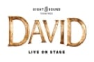 TOUR OPTION - DAVID Show at Sight & Sound