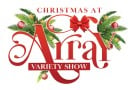 Christmas Array Show