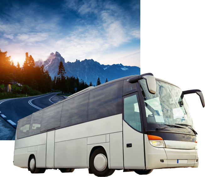 Book a Group Tour