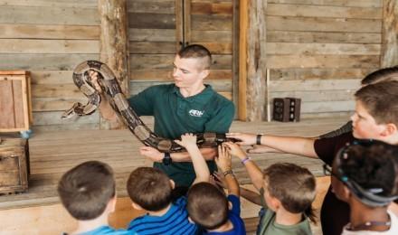 Zoo Ark 101 Large