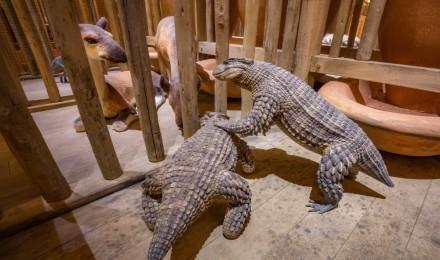 Ark Encounter Exhibit Animals