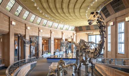 03 Cincinnati Museum Dinosaur