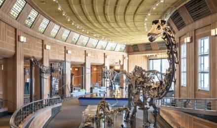 03 Cincinnati Museum Dinosaur