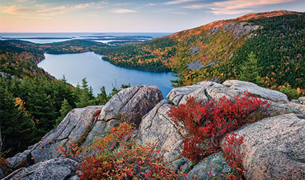 Acadia 2 Web Pop Up (440X260)