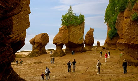Hopewell Rocks 1 Web Pop Up (440X260)