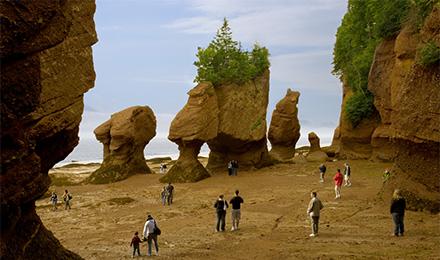 Hopewell Rocks 1 Web Pop Up (440X260)