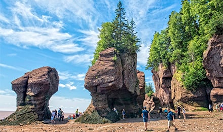 Hopewell Rocks 3 Web Pop Up (440X260)