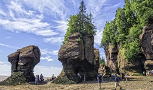 Hopewell Rocks 3 Web Pop Up (440X260)