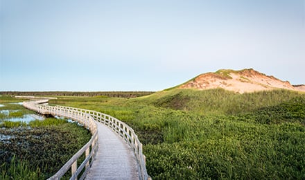 Pei 2 Web Pop Up (440X260)