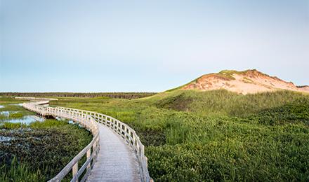 Pei 2 Web Pop Up (440X260)