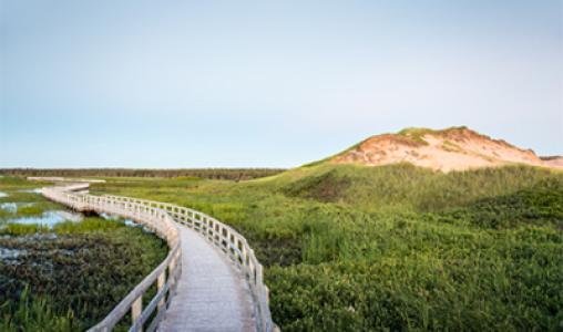 Pei 2 Web Pop Up (440X260)