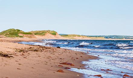 Pei 3 Web Pop Up (440X260)