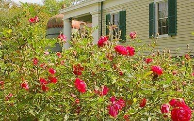 Beautiful Gardens At Destrehan