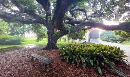 Bench Pic