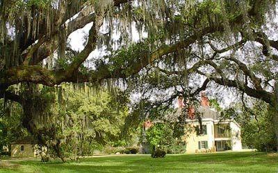 Rolling Lawns At Destrehan