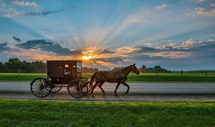 Full Day Amish Country Guided Tour