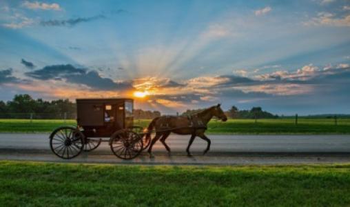 Full Day Amish Country Guided Tour