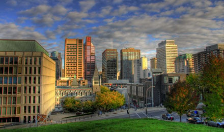 Guided Tour Of Montreal