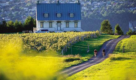 Lush Hillside Home