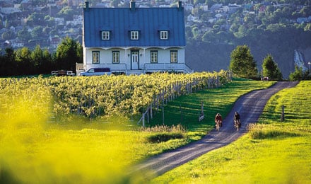 Lush Hillside Home