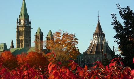 Parliament Hill Foliage