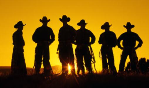 Albuquerque New Mexico Cowboys