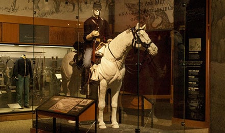 08 Museum Horse