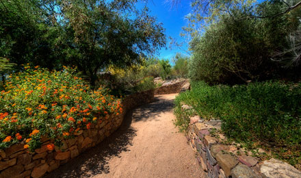 Butterfly Garden Jay Pierstorff