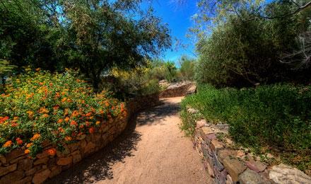 Butterfly Garden Jay Pierstorff