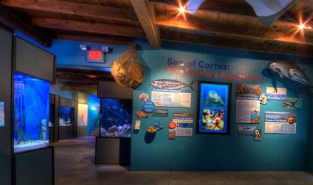 Warden Aquarium Jay Pierstorff