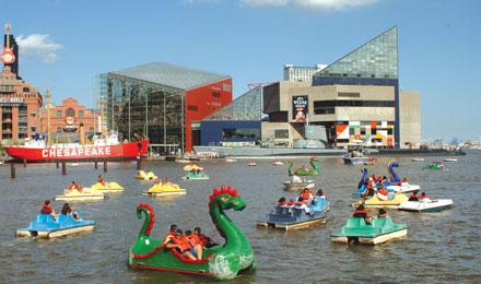 Paddleboats