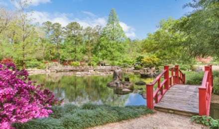 A Visit To Birmingham Botanical Garden
