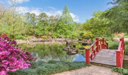 A Visit To Birmingham Botanical Garden