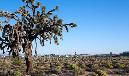 Boron Landscapes 015