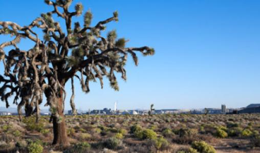Boron Landscapes 015