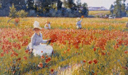 Flanders Field