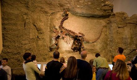 Looking At Camarasaurus