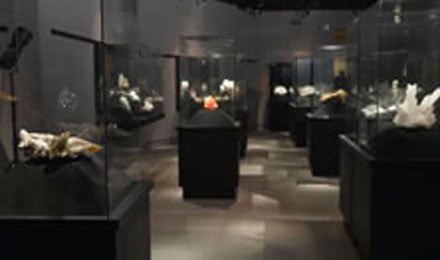 Mineralsth