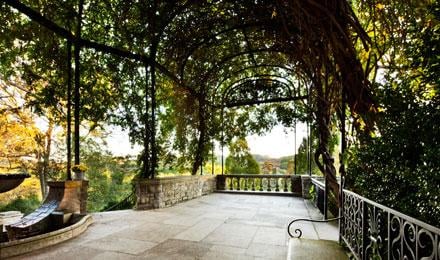 21 Wisteria Arbor Ffsm