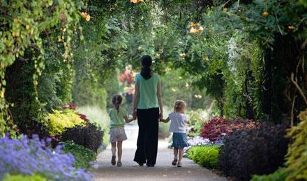 Cheekwood02 Web