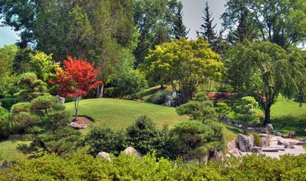 Japanese Garden