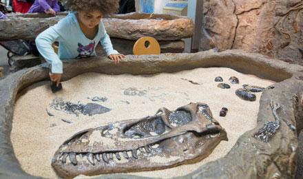 Dinodig Kid Web