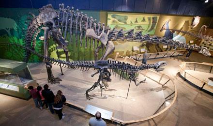 Dinos Family Web