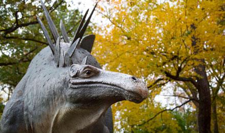 Fall 2 Web