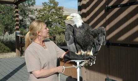 Raptors Oct 2012 012
