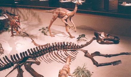 Edmontosaurus