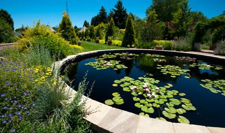 Romantic Grdn