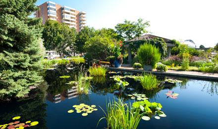 Summer Grdns 132