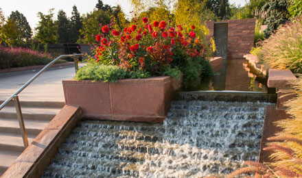 Welcome Gardens 039